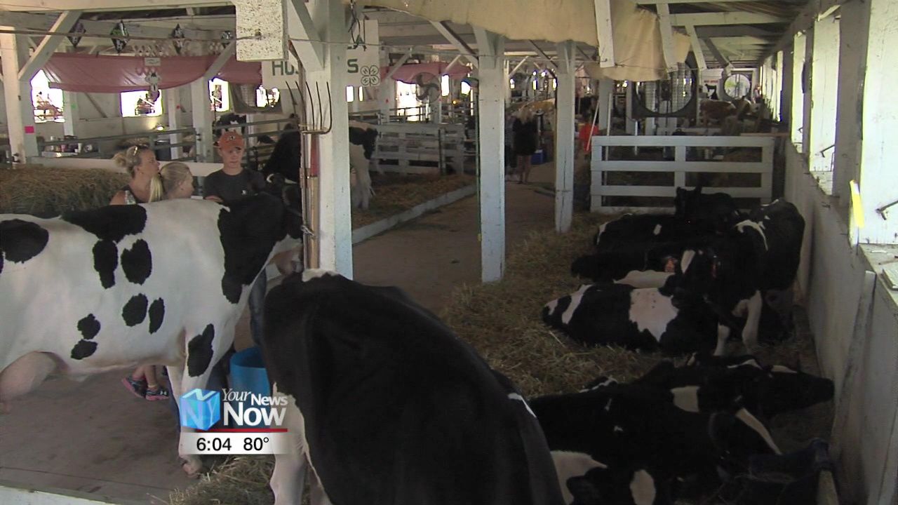 Tough competition of little concern to Mercer County Junior Fair members 2.jpg